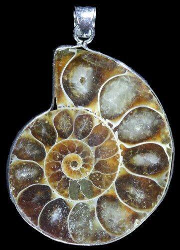 Fossil Ammonite Pendant - Million Years Old #89832